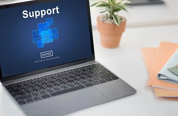 Post-Launch Support